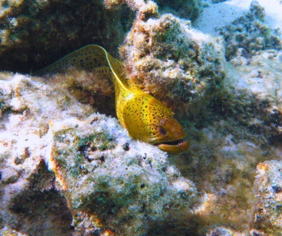 Resort Tava'E عموري المظهر الخارجي الصورة