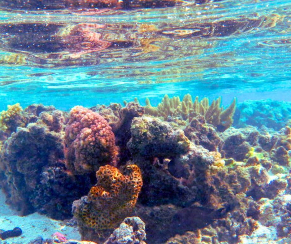 Resort Tava'E عموري المظهر الخارجي الصورة