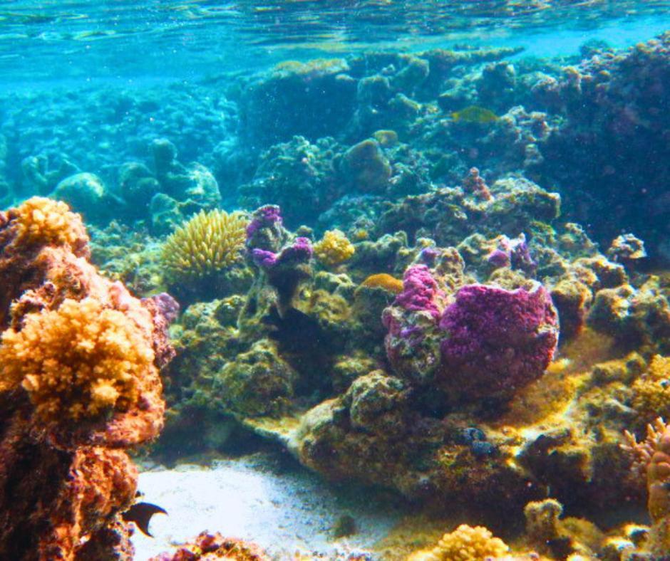 Resort Tava'E عموري المظهر الخارجي الصورة