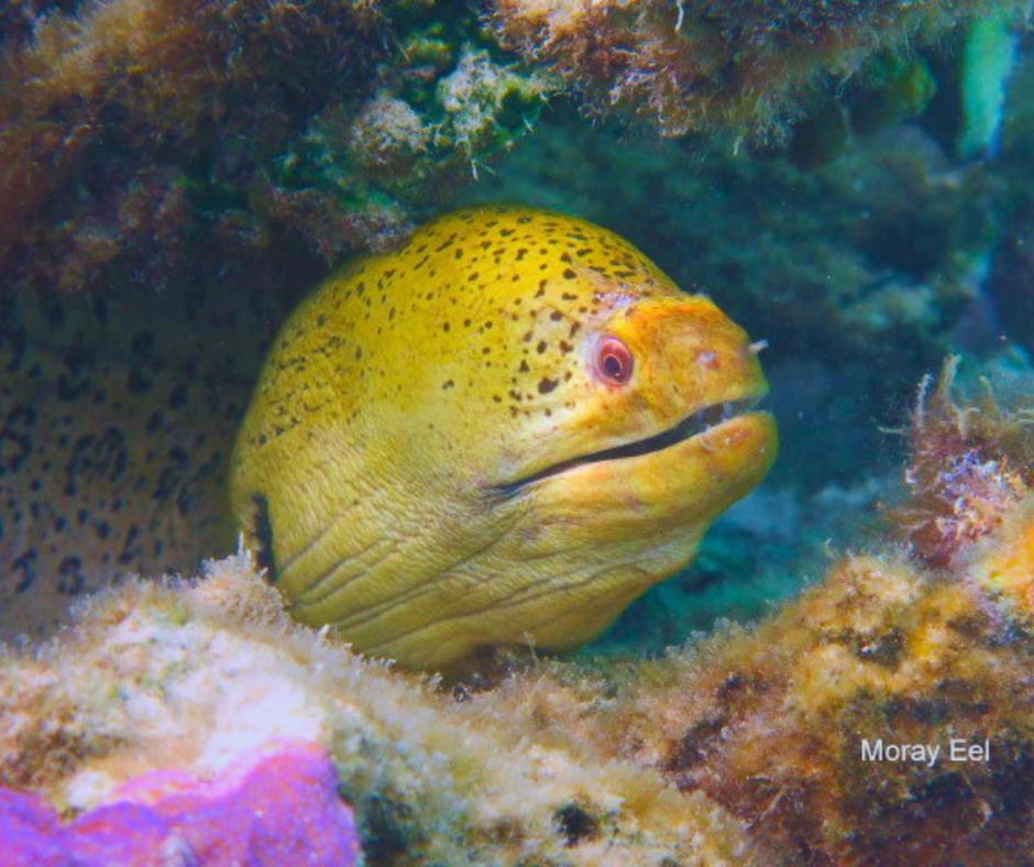 Resort Tava'E عموري المظهر الخارجي الصورة